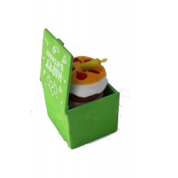Lilone Happy Birthday Surprise Gift Music Box (Green)