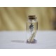 Lilone Little Message Bottle With Horse Decoration Small (Horse)