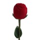 Lilone Red Rose Ring Box, 21cm