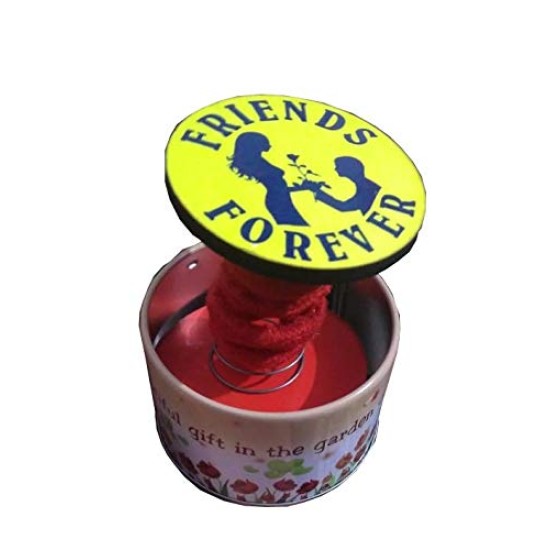 Lilone Friends Forever Pop-Up Round Shape Metal Box Music Lilone Friends Forever Pop-Up Round Shape Metal Box Music