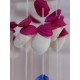 Lilone Shell Wind Chimes (Multi Color) 20 Inch Long