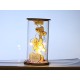 Lilone Gifting Special Wooden Glass Lighting Teddy Best Wishes Decorative Showpiece Statue 