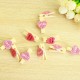 Lilone Wooden Mini Heart Shaped Photo Clips with Rope (Multicolour) - Pack of 10 Pieces