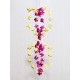 Lilone Shell Wind Chimes for Home 