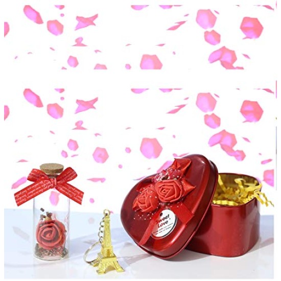 Lilone Rose Message Bottle with Eiffel Tower Key-Chain in Decorative Red Heart Box 