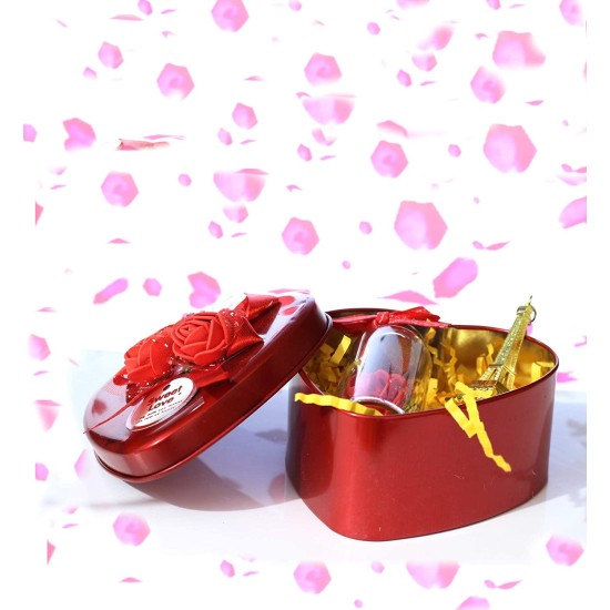 Lilone Rose Message Bottle with Eiffel Tower Key-Chain in Decorative Red Heart Box 