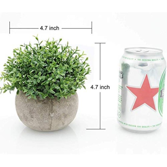 Lilone Mini Artificial Plants Benn Grass in Pot