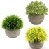 Lilone Mini Pot Benn Grass Artificial Plants (Set of 3)