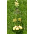 Lilone Gifts Feng Shui Zodiac Victory Horse Windchime Hanging
