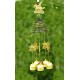 Lilone Gifts Feng Shui Zodiac Victory Horse Windchime Hanging
