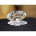 Lilone Decorative Feng Shui Crystal Shell with Pearl 