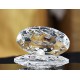 Lilone Decorative Feng Shui Crystal Shell with Pearl 