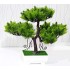 Lilone Artificial Plant Bonsai Tree with Pot 