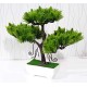 Lilone Artificial Plant Bonsai Tree with Pot 