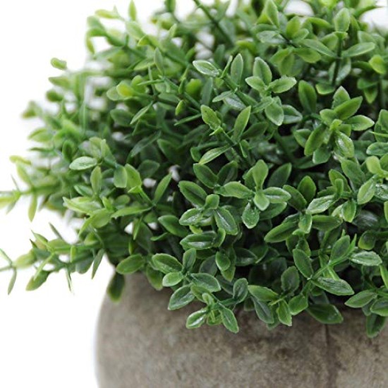 Lilone Mini Artificial Plants Benn Grass in Pot