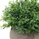Lilone Mini Artificial Plants Benn Grass in Pot