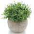 Lilone Mini Artificial Plants Benn Grass in Pot