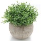 Lilone Mini Artificial Plants Benn Grass in Pot