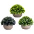 Lilone Mini Artificial Plants Benn Grass in Pot  (Set of 3)