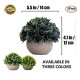 Lilone Mini Artificial Plants Benn Grass in Pot  (Set of 3)