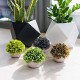 Lilone Mini Artificial Plants Benn Grass in Pot  (Set of 3)